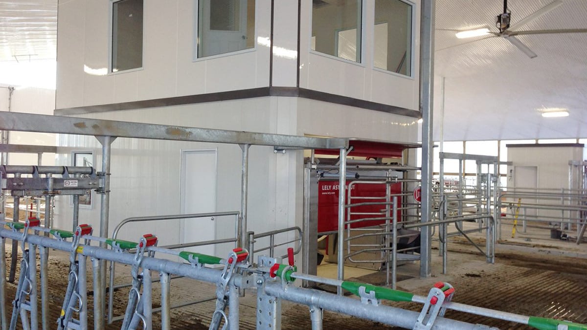 Indoor facility with a two-story observation structure and metal railings, featuring feeding stations with red and green elements, designed for efficient livestock management and monitoring.