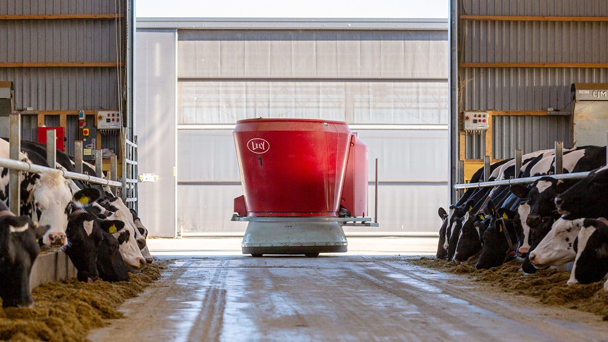 Group of cows inside a barn facing a red robotic feeding machine dispensing feed into a trough, with the ‘Lely’ logo visible. This image highlights modern agricultural technology and automation in livestock feeding.