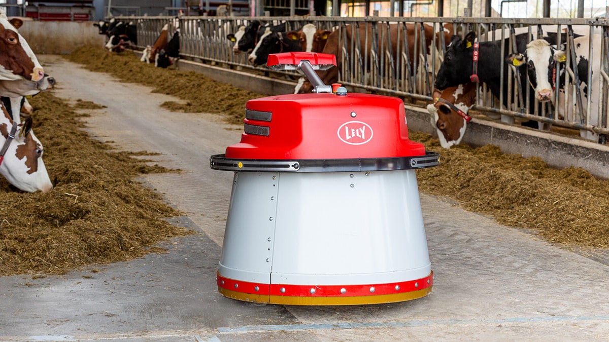 Red and white robotic device in a barn with cows, likely an automated feeding machine or manure scraper, representing the integration of technology in agriculture to improve efficiency and animal welfare.